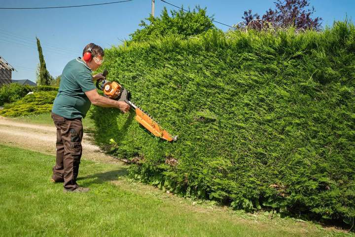 Entretien de jardin avec contrat Longwy