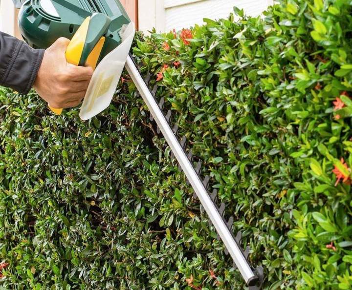 Service de jardinage Longwy